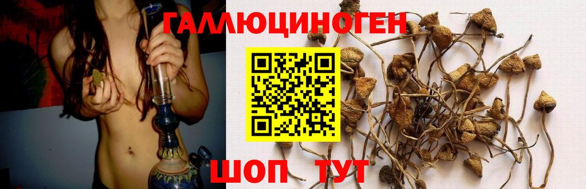 Галлюциногенные грибы Cubensis Владимир